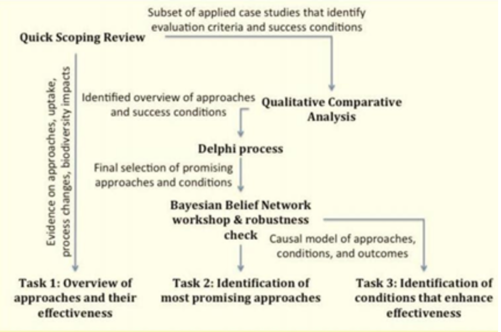Phillips And Reddy Task Process Request: Business - Eklipse